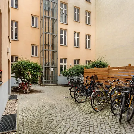 Numa Berlin Kater-2